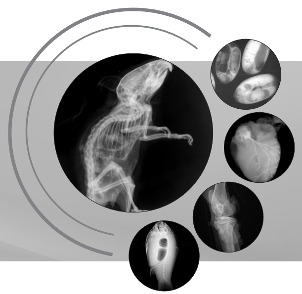 生命科學(xué)研究、小動(dòng)物、種子檢測(cè)